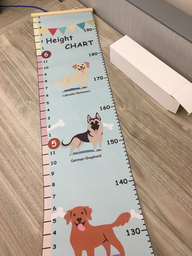 Dog height chart on desk