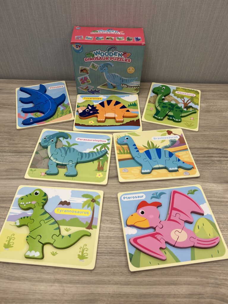 Wooden dinosaur puzzles and box